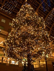 64b6edaa4b268b5bad85fcefc4eb0dec