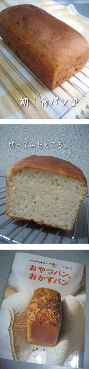 6ff5835db2b220d361c44f82b4ace769