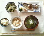 6d2ff89bfb0010c37db20ce0d23833b2