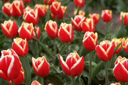 1f065f2f60ac3429894a3b916fee36e9