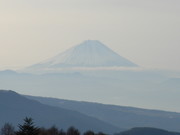 Daa74115e56ba132414ab5cd5ba1abac