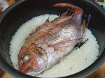 8e5a43c0f2dd5a78ea7f0373f67f5db4