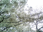 0e3c0ec28f6eecc4a3fc97130a76ea7f