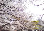 05d2a4f093b5af7302ca0d699a5cf638