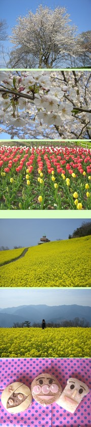 053935c29bee1062c834d6d7a6fa049a