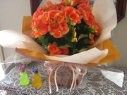 03a2abeb5fabce7644642d1be9bd786a