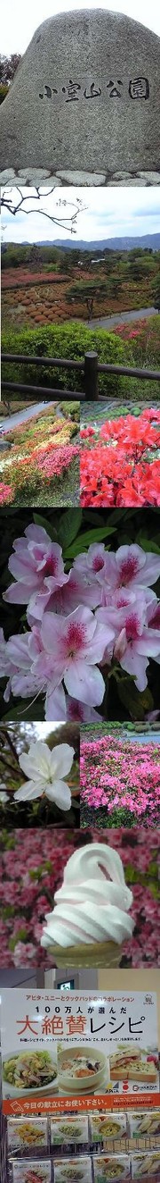 Cf43800456f74452d3cdaa3a584eeea7