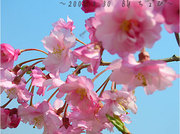 Aeb490fdb6d9039c1a7af7d20b92fb61