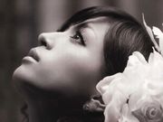 D729d887bcd963738cf0df81bca3bd69