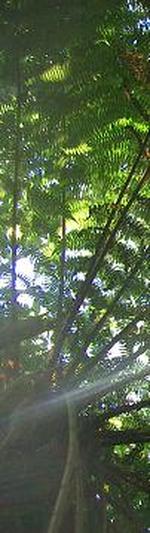 726a2a9d794b5a19021e7478efa45de8