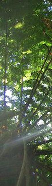 40c6b62cc2901cad02821867ae54e26f
