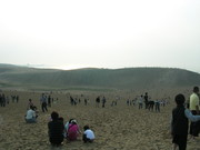 D2b0509602cb30b5b6b63028ac3766b9