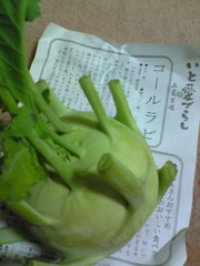 9f6afe6be432dcdedf17290efba66b12