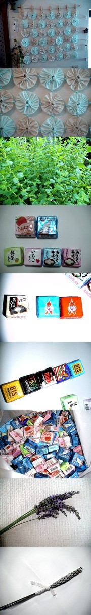 A0d717f5d670de286437b05048a4f9c0