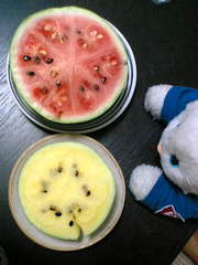 645d8a1d99865bfdc817115f9f7f9ae1
