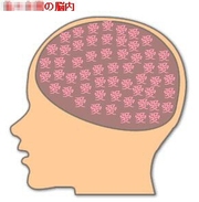 Ed899c31a8543fdf0fd23ffc4c88c938