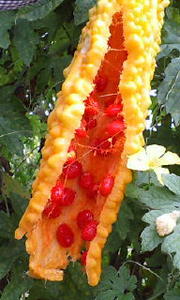93c384c16728b16f30348884baa06ad2