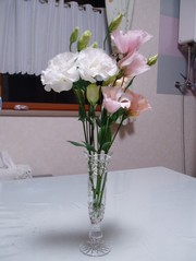 20e14979600935ec8f3c93ecb20d1b8b