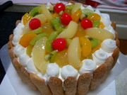 337e1cb33fff951b4cbbd3da0babbcd7