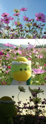 75c77906f5d5f75303a1b5cdd33aad7e
