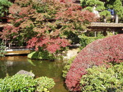 D40bf7f9a45a1311b579615f7630e41c