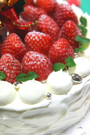 B8049c0924c1e3748d5d25f9d436e5b9
