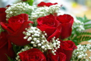 8ebf4e5f74addf1f4d1990b778d2a0ac