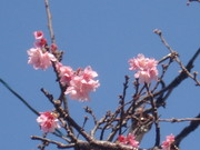 9f90537247fc2cf1014ce2ceabcc3380