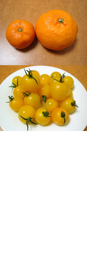 55f5c62039d60eb7ded3d80cebc98d26