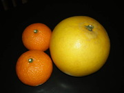 55c88ab89b3073e1f2c5c8c97222a70b