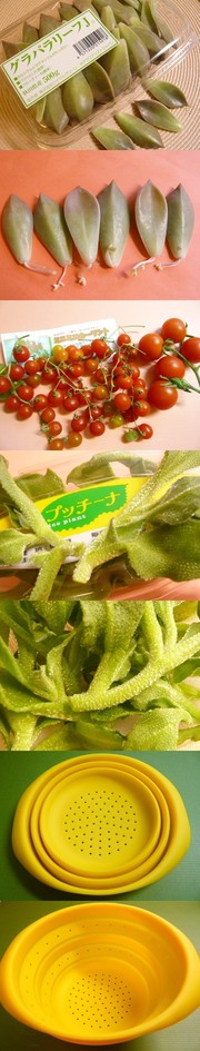 48c2ae24ec4a562f0a9ed27e9263a37b