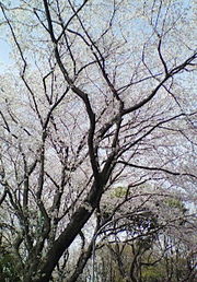 B67b6f5b94d91078034acb5382ed6c80