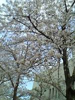 9816331e50f3d4d13b028064efe2acef