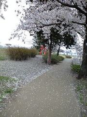 Dd005adbcd62707c52b2103b94179d6e