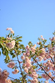 4a39abe4d0853c6c7e1f4e1400cc363f
