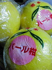 8a31494033e1532d57ab024134e94c6e