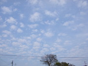B4e9e73cc627fccd2a65b5669e45758c
