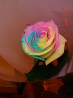 7eb08c044f4f689e1dfb76a1d9d1ae02