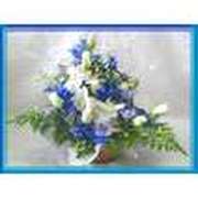 Fdc6339042916e17decf2d082649b25c