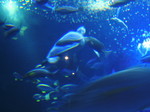 07e4ab5dd44397d7d0840eaba04ad225