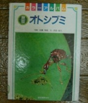 6c2aa06032868d1725627b3ef8938d49