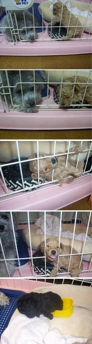 F43894cc5d8671f3d23ffbf617909979