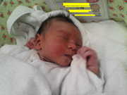 4a5d9dd2200c7a9af967af3b0b237bb8