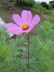 A6dca3f2b23a955d6eaa37c7f4daaf31