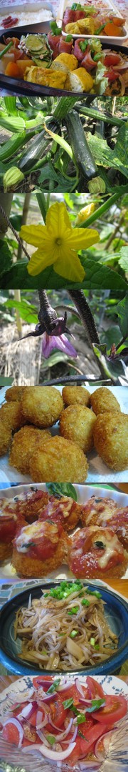 Cfc1be3e0d6df96b7c1c0e71a10198a4