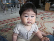 A301607eb50833c39cd799ac85a36a4b