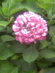 8b432092c3bbd6f3ba415baa372c3284