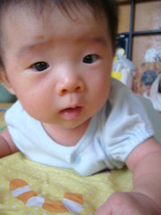 809f13f342ec2f35f9dad6e32dc241fd