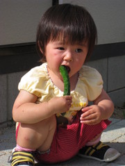 Bfed2f0ef88b98d3af7a50eb9ff8db13