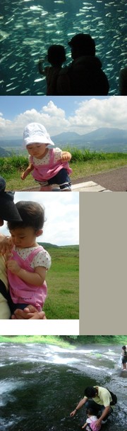 4ecbb776fad2557c67e96c575450f4fe